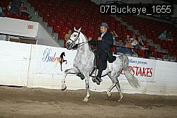 07Buckeye_1655 thumbnail