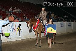 07Buckeye_1686 thumbnail