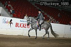 07Buckeye_1688 thumbnail