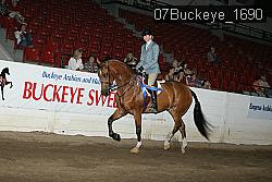 07Buckeye_1690 thumbnail