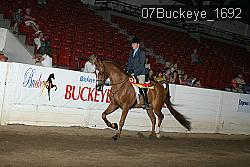 07Buckeye_1692 thumbnail