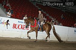 07Buckeye_1693 thumbnail