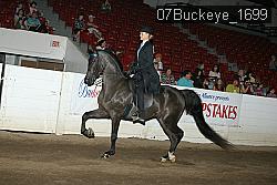 07Buckeye_1699 thumbnail