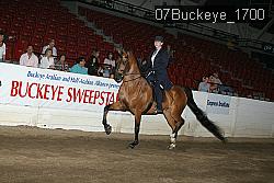 07Buckeye_1700 thumbnail