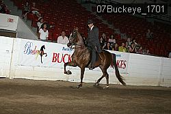 07Buckeye_1701 thumbnail