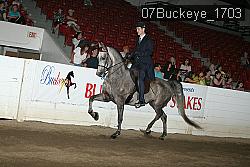 07Buckeye_1703 thumbnail