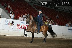 07Buckeye_1708 thumbnail