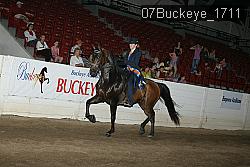 07Buckeye_1711 thumbnail