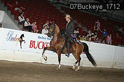 07Buckeye_1712 thumbnail