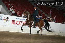 07Buckeye_1713 thumbnail