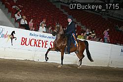 07Buckeye_1715 thumbnail