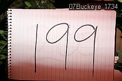 07Buckeye_1734 thumbnail