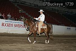 07Buckeye_1739 thumbnail