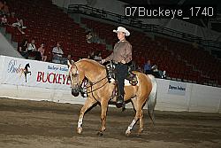 07Buckeye_1740 thumbnail