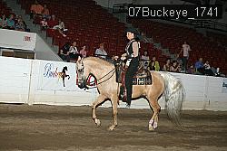 07Buckeye_1741 thumbnail