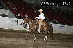 07Buckeye_1742 thumbnail