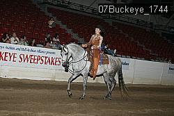 07Buckeye_1744 thumbnail