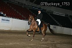 07Buckeye_1753 thumbnail