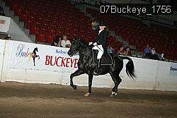 07Buckeye_1756 thumbnail