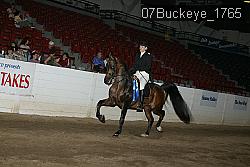 07Buckeye_1765 thumbnail