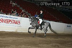 07Buckeye_1770 thumbnail