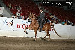 07Buckeye_1778 thumbnail