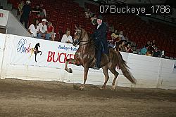 07Buckeye_1786 thumbnail