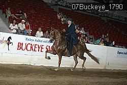 07Buckeye_1790 thumbnail