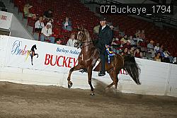 07Buckeye_1794 thumbnail