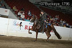 07Buckeye_1796 thumbnail