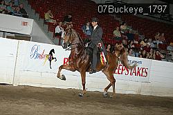 07Buckeye_1797 thumbnail