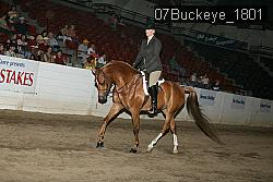 07Buckeye_1801 thumbnail