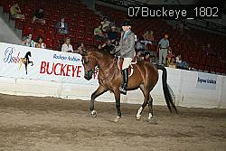 07Buckeye_1802 thumbnail