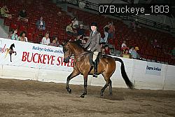 07Buckeye_1803 thumbnail