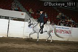 07Buckeye_1811 thumbnail