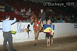 07Buckeye_1815 thumbnail