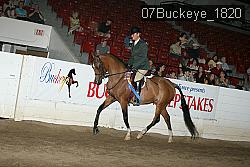 07Buckeye_1820 thumbnail