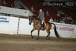 07Buckeye_1822 thumbnail