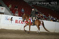 07Buckeye_1823 thumbnail