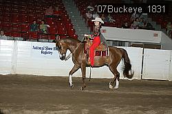 07Buckeye_1831 thumbnail