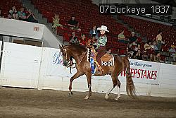 07Buckeye_1837 thumbnail