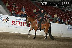 07Buckeye_1838 thumbnail
