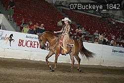 07Buckeye_1842 thumbnail