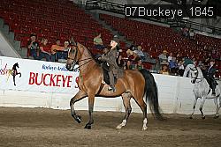 07Buckeye_1845 thumbnail