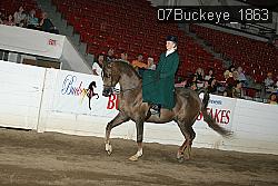 07Buckeye_1863 thumbnail