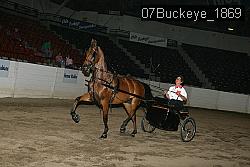 07Buckeye_1869 thumbnail