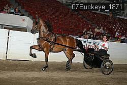 07Buckeye_1871 thumbnail