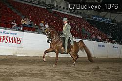 07Buckeye_1876 thumbnail