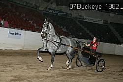 07Buckeye_1882 thumbnail