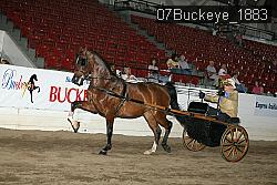 07Buckeye_1883 thumbnail